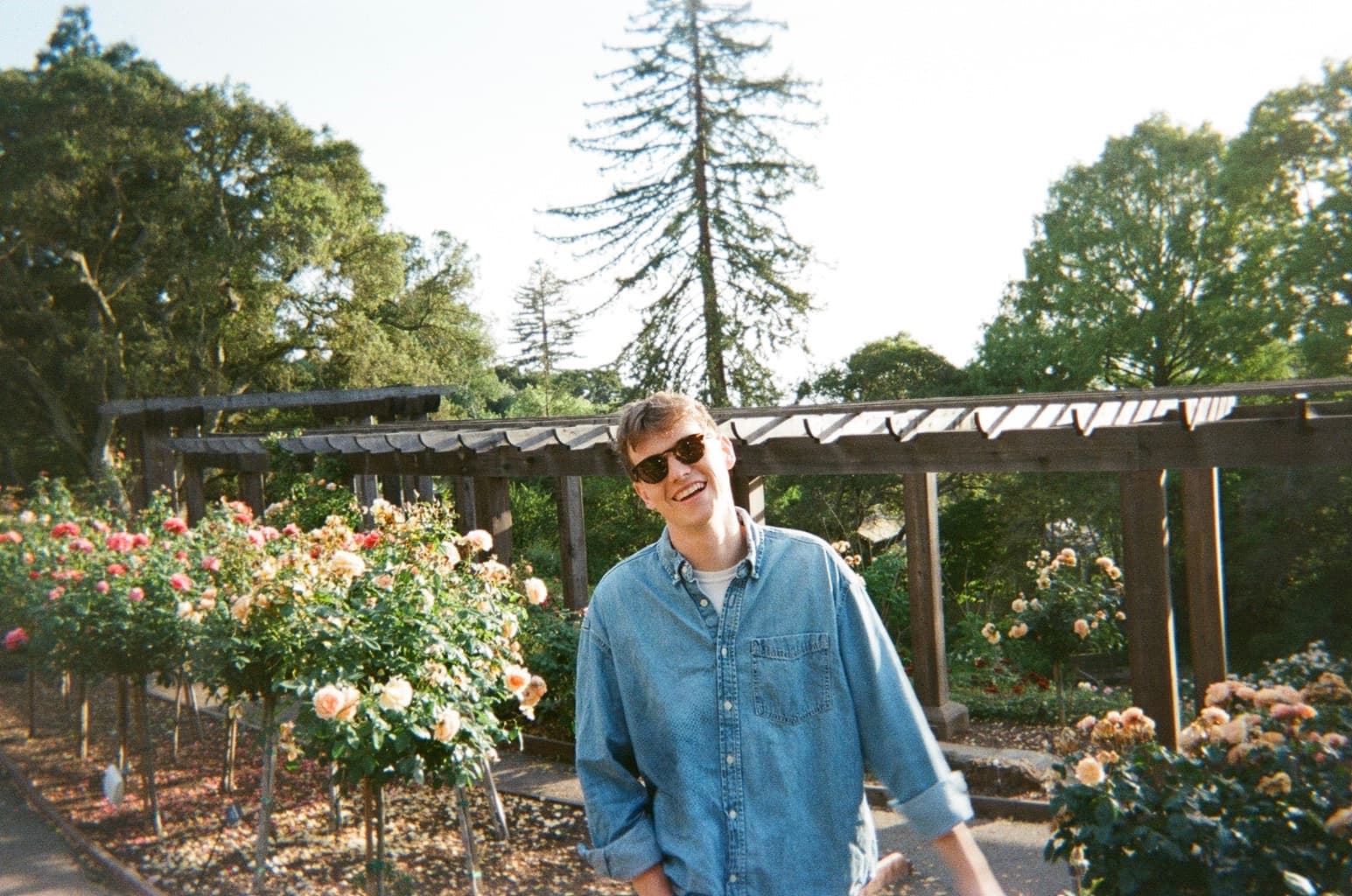 Quinton walking through a rose garden